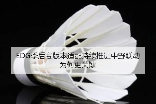 EDG季后赛版本适配持续推进中野联动为何更关键